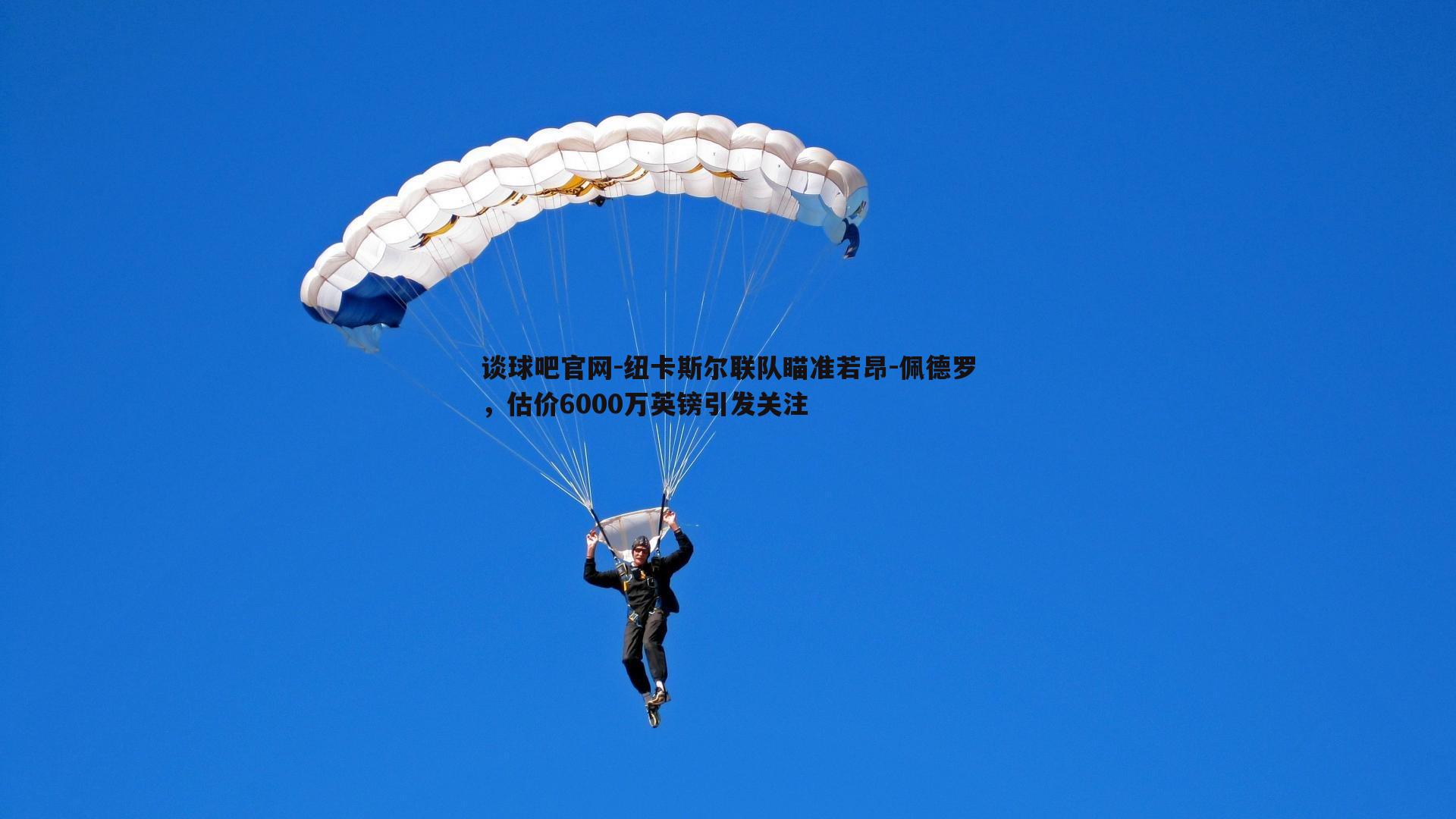 纽卡斯尔联队瞄准若昂-佩德罗，估价6000万英镑引发关注